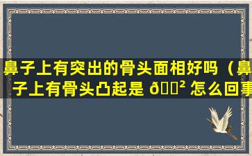 鼻子上有突出的骨头面相好吗（鼻子上有骨头凸起是 🌲 怎么回事）